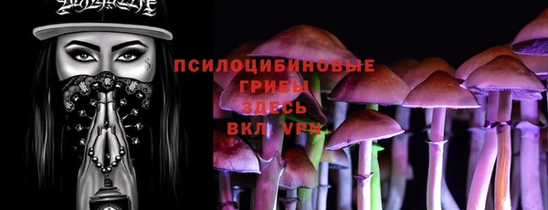 мдпв Вязьма