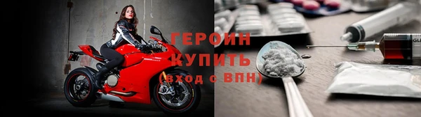 индика Волоколамск