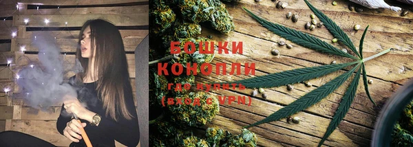 спайс Новодвинск