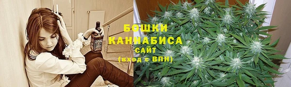 мдпв Вязьма