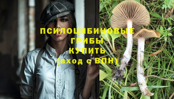 МДМА Вяземский
