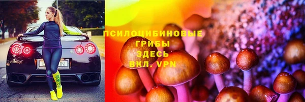 мдпв Вязьма