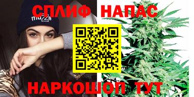 прущие крисы Новокубанск