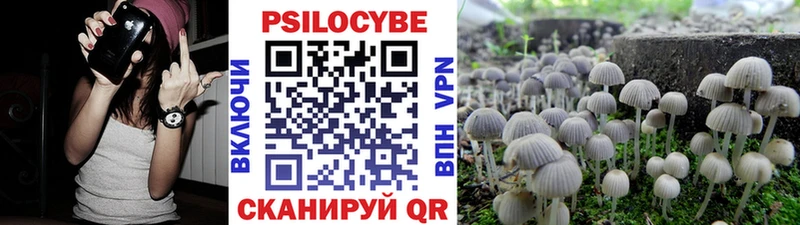 Галлюциногенные грибы прущие грибы  Уссурийск 