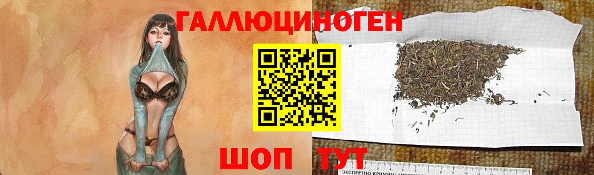 купить наркотики сайты  Галлюциногенные грибы ЛСД  Уссурийск  Вход с VPN  Галлюциногенные грибы Psilocybine cubensis 